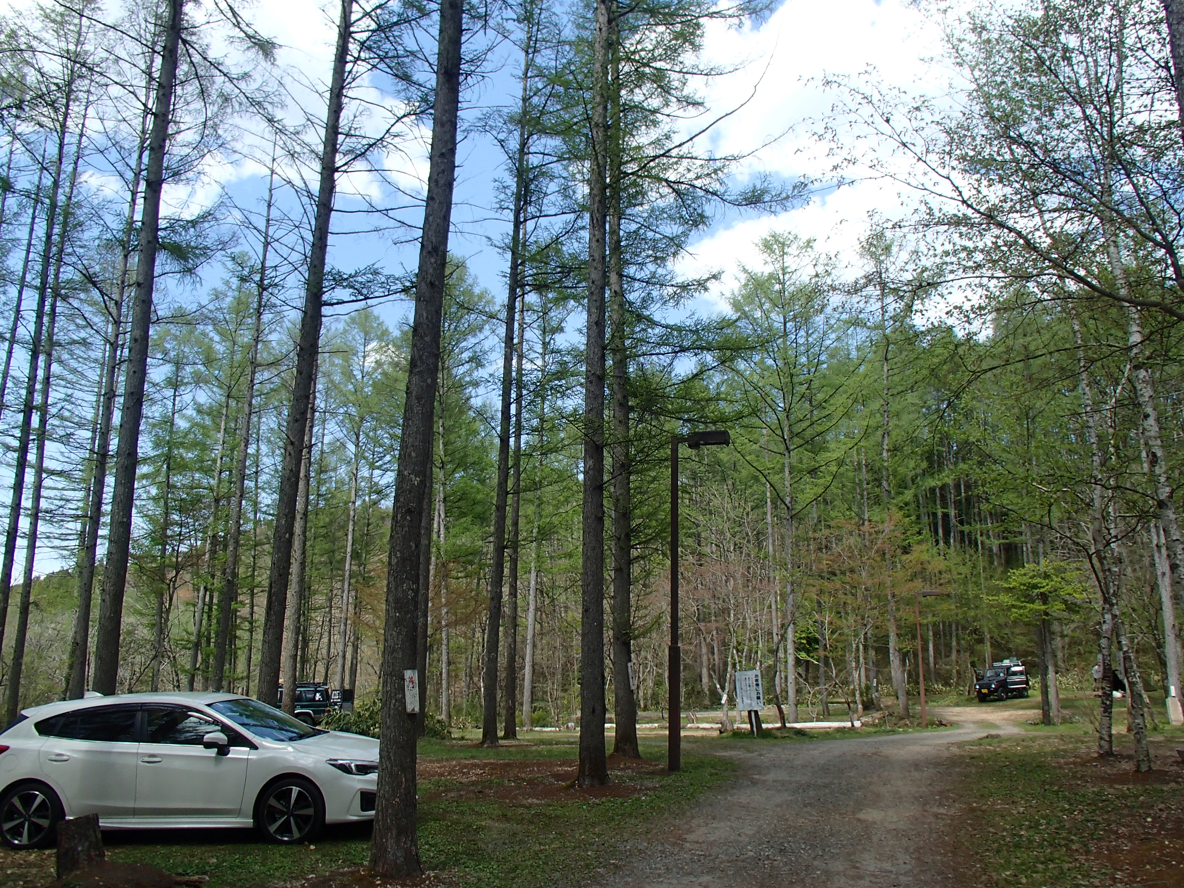 またまた、一色の森キャンプ場に行ってきました